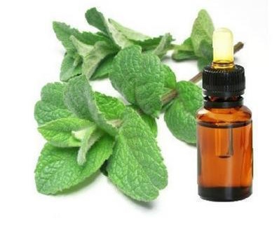 8008-79-5 Spearmint oil; Chemical Properties; Uses