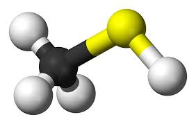 74-93-1 Uses; Methanethiol; Applications; Properties
