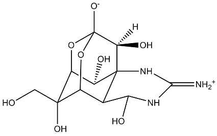 4368-28-9 Tetrodotoxin; natural; deadly; neurotoxin