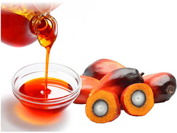 8002-75-3 Palm OilPropertiesUsesSpecial precautions