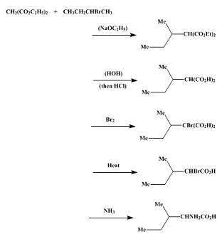 443-79-8 Synthesis of DL-Isoleucine DL-Isoleucine