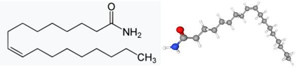 78-78-4 Toxicology of 2-Methylbutanepharmacokinetics of 2-Methylbutane applications of 2-Methylbutane