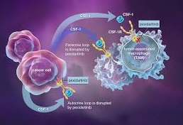 1029044-16-3 Pexidartinibtenosynovial giant cell tumourUsesSide effects