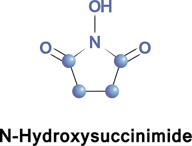 6066-82-6 N-HydroxysuccinimideThe Use of Esters of N-Hydroxysuccinimide