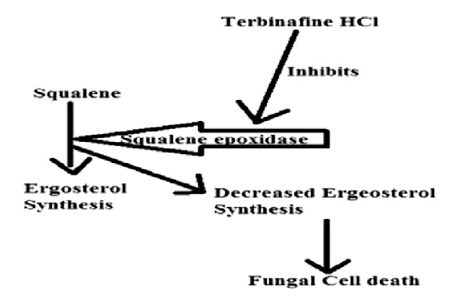 99-50-3 Protocatechuic acidPCASourcefruitsantioxidantantibacterial 