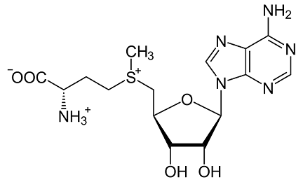 41979-39-9 4-oxopiperidinium chloride; Synthesis; Application