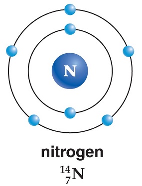 Nitrogen structure