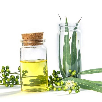 Eucalyptus oil