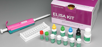 人脂磷壁酸(LTA)Elisa试剂盒