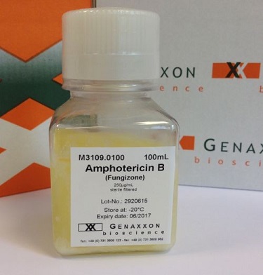 Amphotericin B (Fungizone)