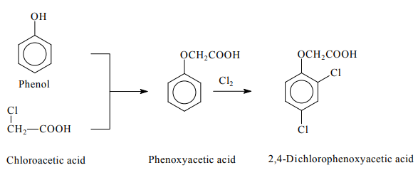 Preparation of 2,4-Dichlorophenoxyacetic acid