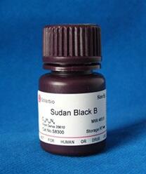 苏丹黑B染色液