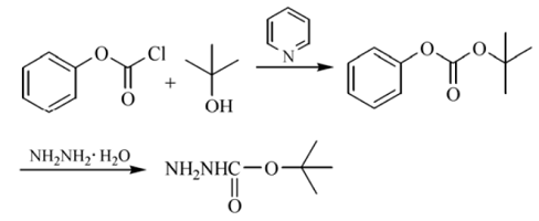 肼基甲酸叔丁酯的合成路线
