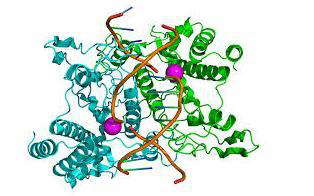 BAAT长链脂肪酸酰基辅酶A水解酶抗体