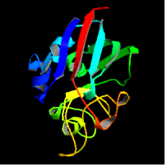 人血管生成素样蛋白3(ANGPTL3)ELISA KIT