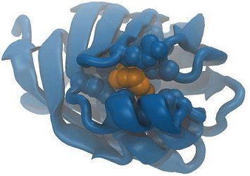 人视黄醇结合蛋白4(RBP-4)ELISA KIT