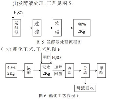 D-异抗坏血酸钠的生产工艺2