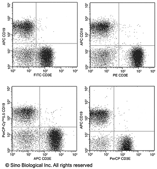 Anti-CD3 epsilon/CD3e Antibody (PerCP), Mouse Monoclonal