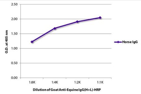 Immunoglobulin was detected with Goat Anti-Equine IgG(H+L)-HRP (SB Cat. No. 6040-05)
