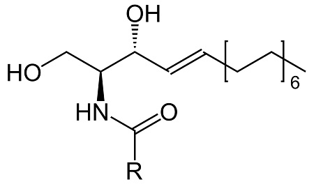 神经酰胺 结构式