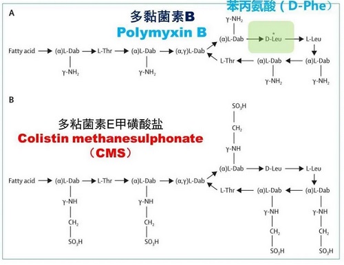 多粘菌素B和多粘菌素E的化学结构