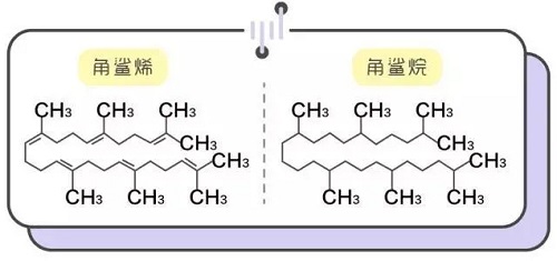 角鲨烷和角鲨烯的分子结构