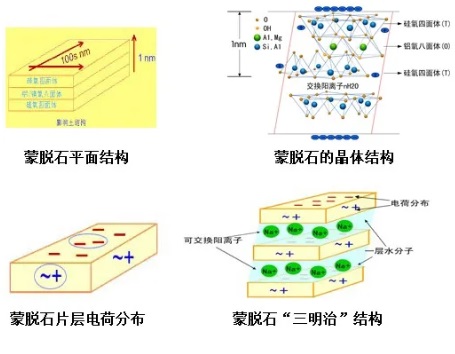 蒙脱石结构