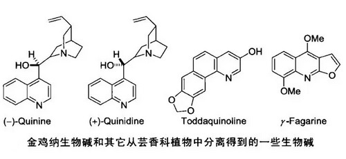 喹啉类化合物