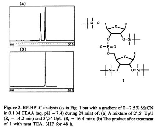94-24-6 Pharmacodynamic of tetracainepharmacokinetics of tetracaineside effects of tetracaine