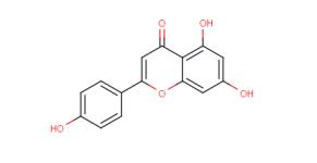 486460-32-6 SitagliptinDPP-4 InhibitorDiabetes