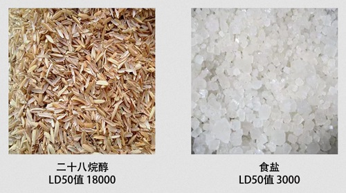 二十八烷醇和食盐的LD50值对比