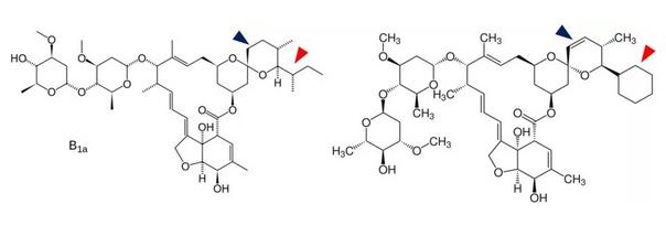 伊维菌素B1a（左）和多拉菌素（右）的结构