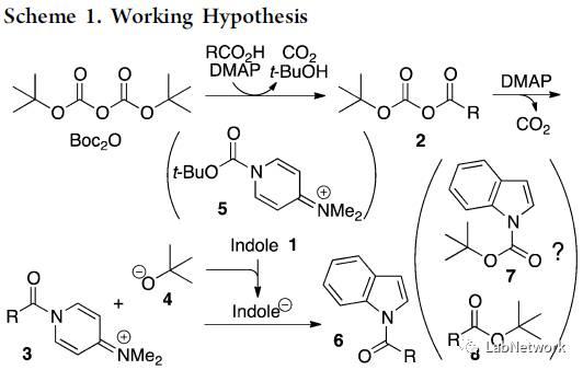 Boc2O参与的羧酸与非亲核含N杂环胺类的缩合