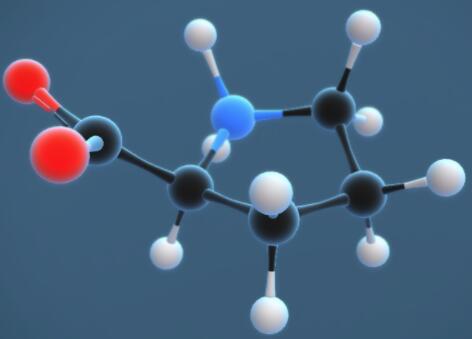 脯氨酸的​结构特征与用途
