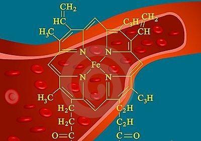 血红素结构示意图图片