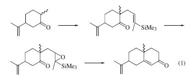 ((E)-3-CHLORO-1-METHYLPROPENYL)TRIMETHYLSILANE