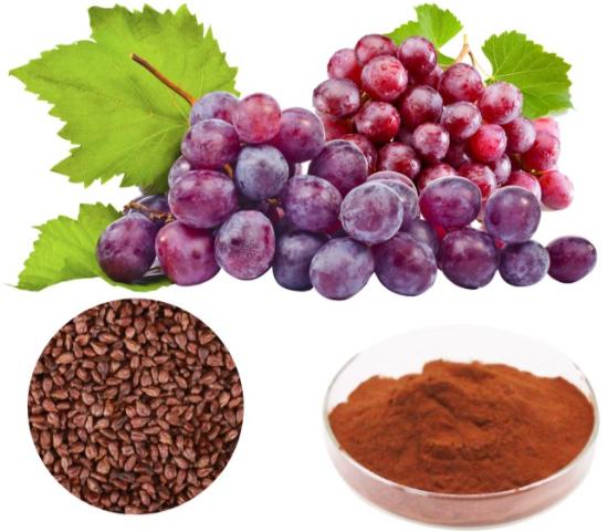 葡萄籽提取物：发现它的益处与用途