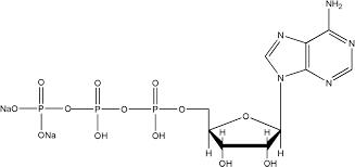磷酸腺苷钠