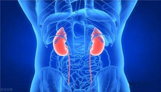 AllImg_2.jpg AllImg_2.jpg