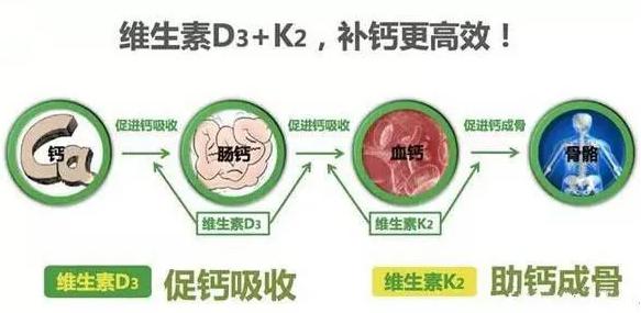 维生素K2的作用及功能