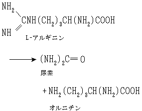 説明図