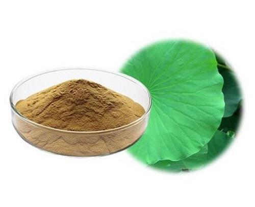 Lotus leaf powder.jpg