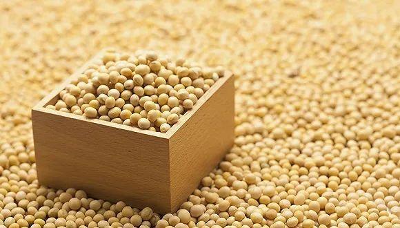 大豆卵磷脂的保健功效