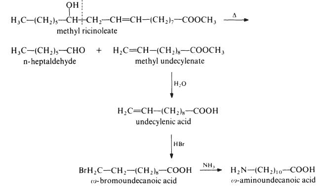 2432-99-7 synthesis