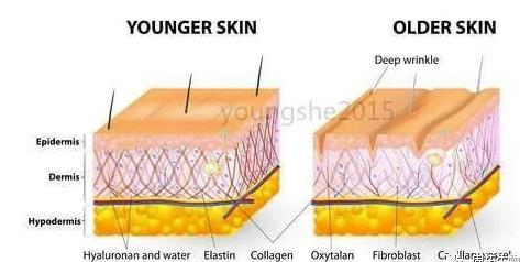 棕榈酰三肽-1在化妆品中的应用