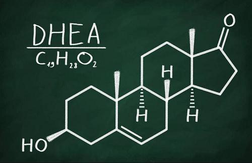 DHEA脱氢表雄酮—卵巢功能的营养剂