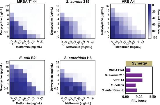 Adv. Sci. | 二甲双胍恢复多药耐药细菌对四环素的敏感性