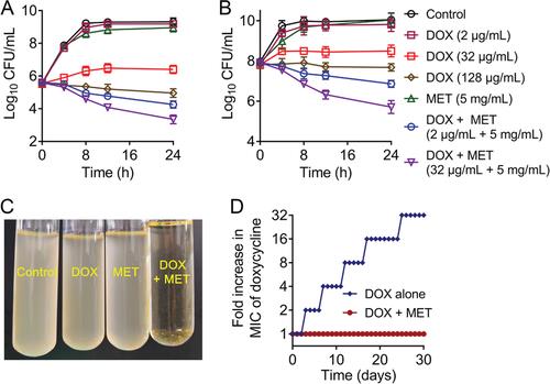 AllImg_2.jpg AllImg_2.jpg