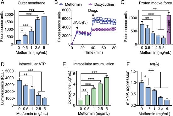 AllImg_3.jpg AllImg_3.jpg