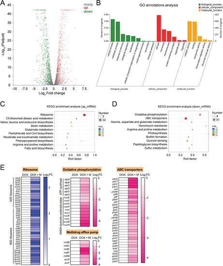 AllImg_4.jpg AllImg_4.jpg